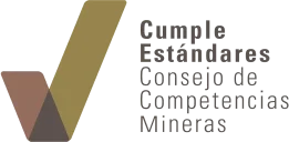 s-CCM